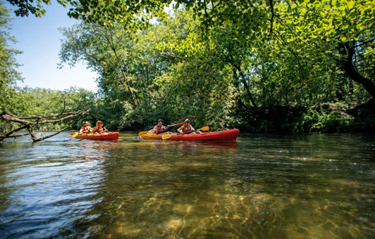 Randonnée en canoe kayak sur la Leyre