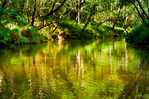 Vu de la Leyre appelé aussi petite Amazone