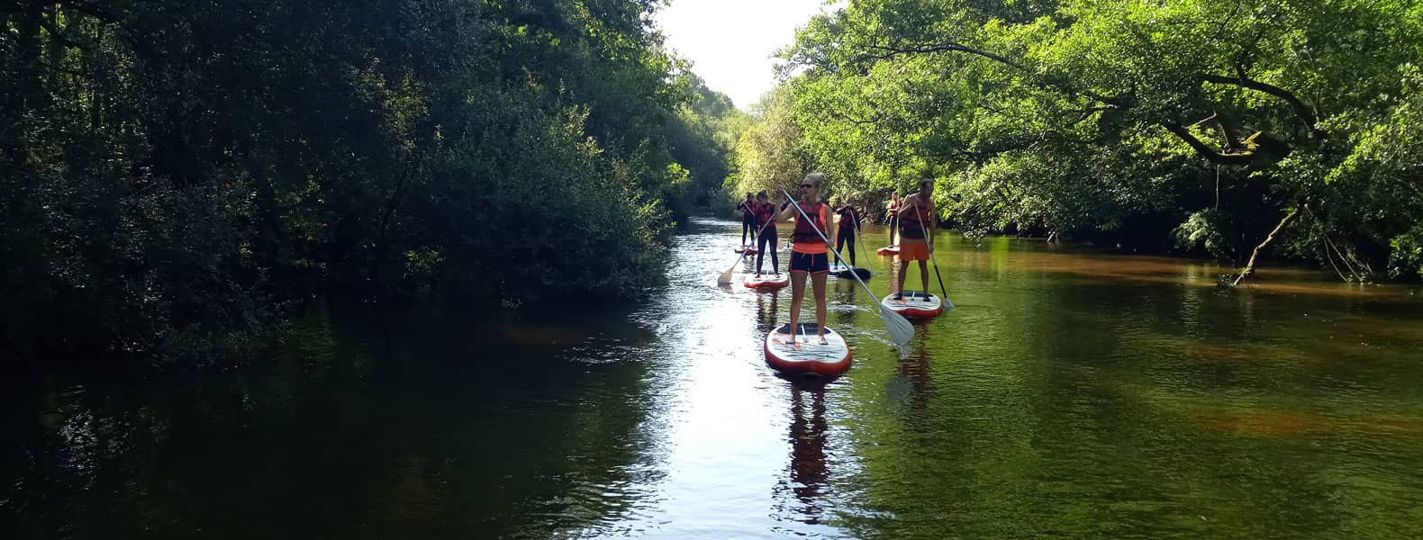 Descente de la Leyre en Stand-up Paddle