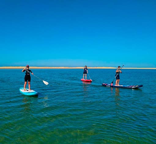Location et randonnée de stand-up paddle sur le Bassin d'Arcachon et le Lac de Sanguinet