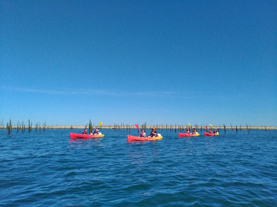 excursion en kayak banc d'arguin et dune du pilat