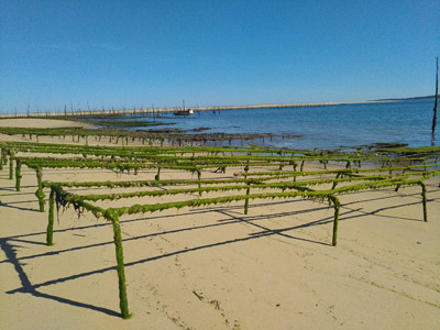 balade en kayak banc d'arguin et dune du pilat