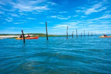 excursion kayak arcachon