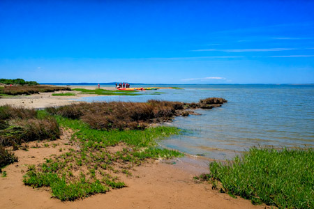 balade en canoe kayak sur le Delta de la Leyre