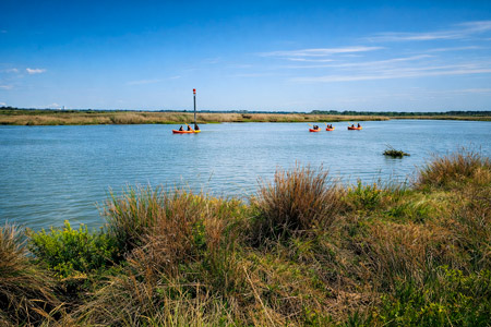 excursion en canoe kayak sur le Delta de la Leyre