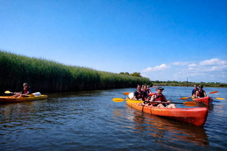 location kayak sur le Delta de la Leyre