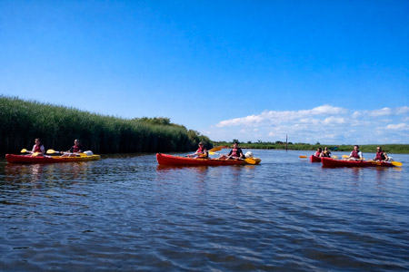 balade en kayak sur le Delta de la Leyre
