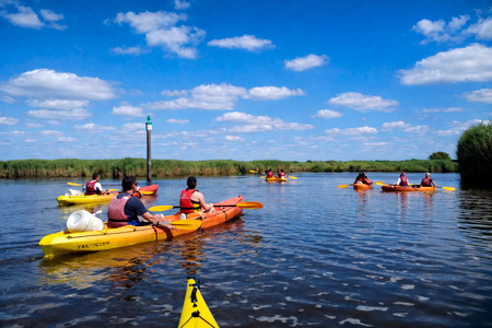 excusrion en kayak sur le Delta de la Leyre